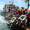 Dorong Keberlanjutan, MIND ID Gelar Program Reklamasi