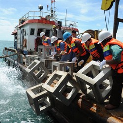 Dorong Keberlanjutan, MIND ID Gelar Program Reklamasi
