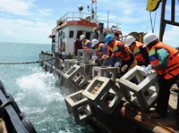 Dorong Keberlanjutan, MIND ID Gelar Program Reklamasi