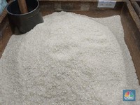 Alert! Harga Beras Pecah Rekor Lagi, Kini Tembus Rp16.200/ Kg
