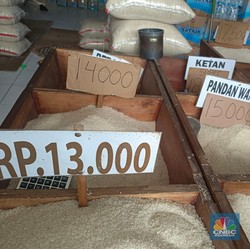 Sempat Langka, Peritel Modern Ungkap Kondisi Terbaru Stok Beras