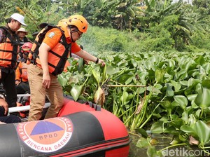 Plh Gubernur Jatim Temukan 5 Km Kali Buntung Sidoarjo Tertutup Eceng Gondok