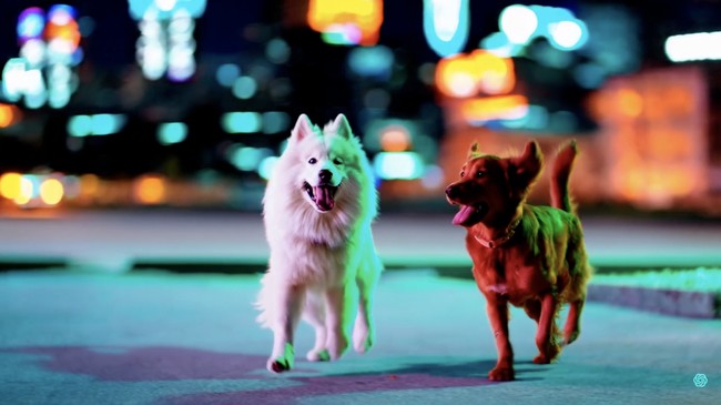 Aplikasi Terkenal Ditutup Padahal Baru 6 Bulan, Cuma Buang-Buang Duit