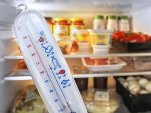 Kulkas Kurang Dingin Bikin Makanan Cepat Basi? Begini Cara Perbaikinya