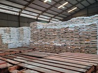 Harga Beras Terus Meroket Cetak Rekor, Apa Penyebabnya?