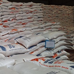 Jokowi Sidak Gudang Bulog Bekasi : Stok Beras Nggak Masalah, Melimpah!