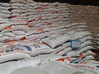 Jokowi Sidak Gudang Bulog Bekasi : Stok Beras Nggak Masalah, Melimpah!