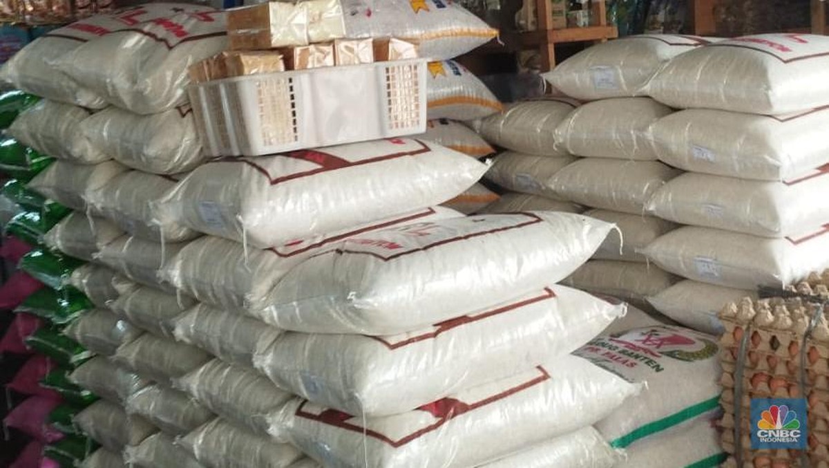 Temukan! Barang dan Jasa Ini Nikmati Bebas PPN 12%!