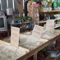 Impor Masuk, Pemerintah Pede Harga Beras Turun Bulan Ini