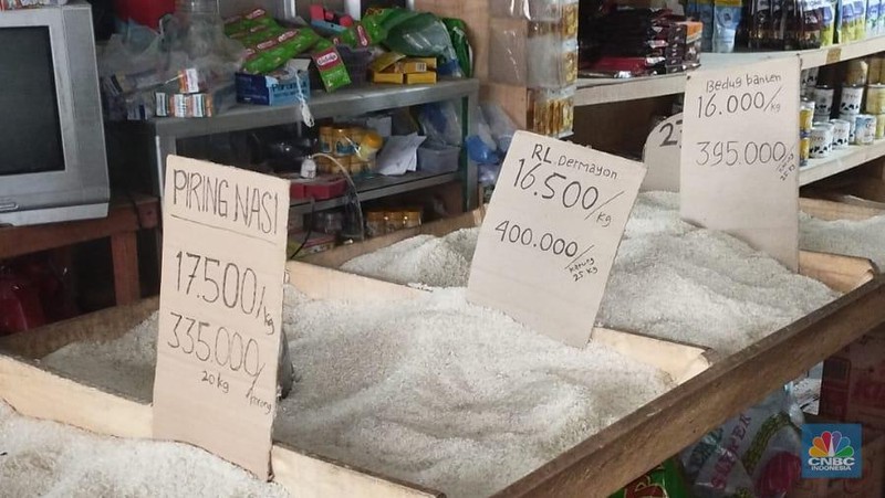 Jokowi didampingi Mendag Zulkifli Hasan, Dirut Bulog Bayu Krisnamurthi, Pj Gubernur DKI Heru Budi Hartono, tinjau beras di PIBC, Kamis (15/2/2024), (Dok. Bapanas)