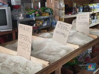 Harga Beras Terus Rekor Tembus Rp16.000/ Kg, Ternyata Ini Penyebabnya