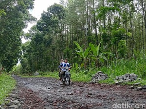 NasDem Banyuwangi Buka Suara soal Caleg Tarik Bantuan Paving gegara Kalah