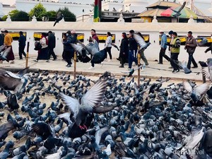 Stupa Boudhanath yang Paling Besar di Nepal, Apa Keistimewaannya?
