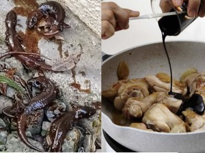 Jijik! Wanita Ini Temukan 6 Bangkai Cicak di Botol Kecapnya