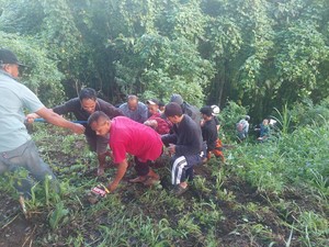 Pikap Rombongan Pengajian Terjun ke Jurang di Malang, 7 Orang Luka