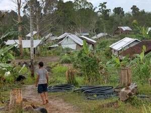Bentrokan Antarsuku di Papua Nugini hingga Puluhan Orang Jadi Korban
