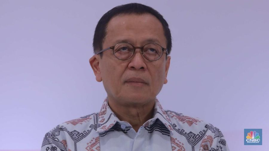 Anggota Dewan Komisioner (ADK) Lembaga Penjamin Simpanan (LPS) Ex-officio OJK Dian Ediana Rae di acara Pertemuan Tahunan Industri Jasa Keuangan 2024 di Hotel St Regis, Jakarta, Selasa, (20/2/2024). (CNBC Indonesia/Muhammad Sabki)