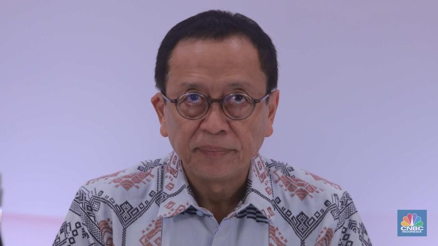 Anggota Dewan Komisioner (ADK) Lembaga Penjamin Simpanan (LPS) Ex-officio OJK Dian Ediana Rae di acara Pertemuan Tahunan Industri Jasa Keuangan 2024 di Hotel St Regis, Jakarta, Selasa, (20/2/2024). (CNBC Indonesia/Muhammad Sabki)