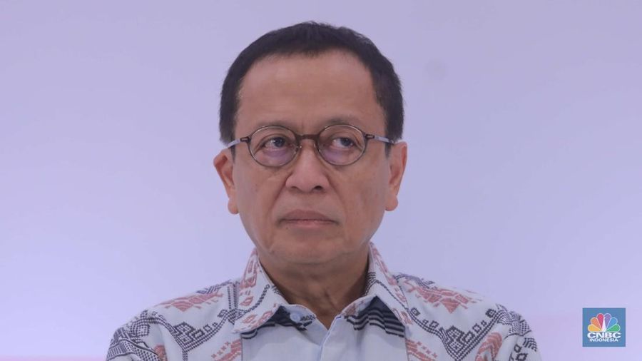 Anggota Dewan Komisioner (ADK) Lembaga Penjamin Simpanan (LPS) Ex-officio OJK Dian Ediana Rae di acara Pertemuan Tahunan Industri Jasa Keuangan 2024 di Hotel St Regis, Jakarta, Selasa, (20/2/2024). (CNBC Indonesia/Muhammad Sabki)