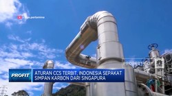 Video:RI-Singapura Teken Kerja Sama Penangkapan dan Penyimpanan Karbon