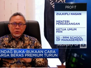 Video: Harga Beras Premium Naik, Mendag Ajak Warga RI Beli Beras SPHP