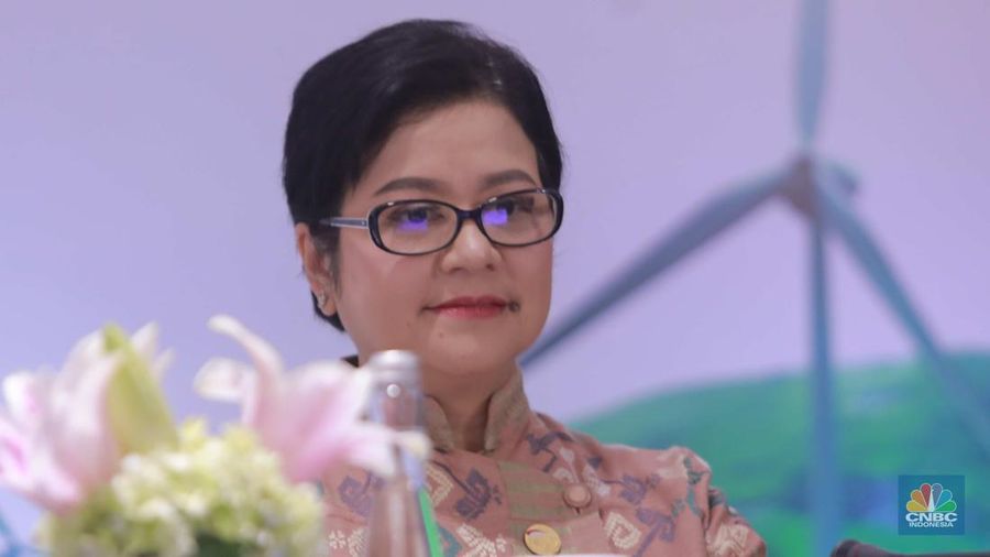 Ketua Dewan Audit merangkap Anggota Dewan Komisioner OJK Sophia Wattimena di acara Pertemuan Tahunan Industri Jasa Keuangan 2024 di Hotel St Regis, Jakarta, Selasa, (20/2/2024). (CNBC Indonesia/Muhammad Sabki)