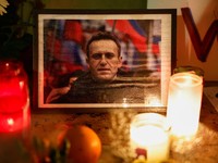 Apa Itu Racun Katak Panah, Senjata Mematikan di balik Kematian Navalny