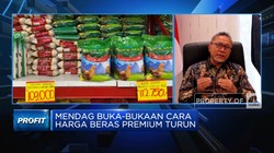 Zulhas: Stok Beras Premium Berkurang Tapi Beras SPHP Bulog Melimpah