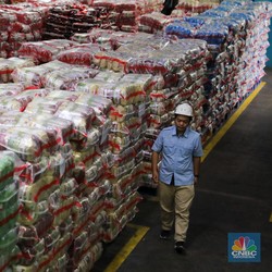 Kenali Aturan Mutu Beras Premium, Agar Tak Jadi Korban Modus Curang