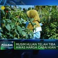 Video: 35 Tahun Hadapi Masalah Berulang, Petani Cabai Butuh Perbaikan