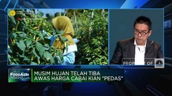 Video: 35 Tahun Hadapi Masalah Berulang, Petani Cabai Butuh Perbaikan