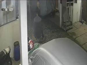 Burung Murai Senilai Rp 5 Juta di Depok Dicuri, Pelaku Terekam CCTV