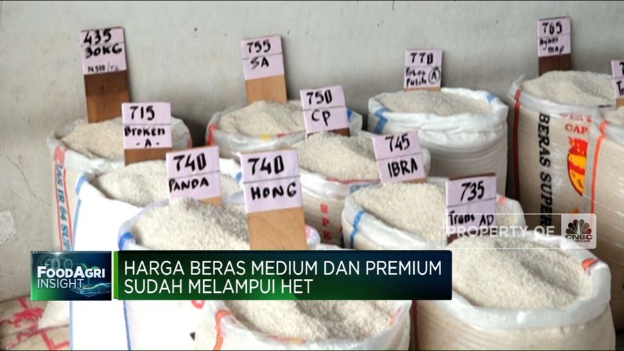 Beras Premium Langka di Toko Ritel, Ini Langkah Pemerintah