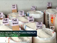 Ternyata Pedagang Tak Happy Harga Beras Terus Meroket, Ada Apa?