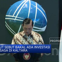 Video: Luhut Ungkap Rencana Investasi Raksasa di Kaltara
