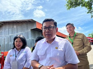 Harga Beras Masih Tinggi, Pemerintah Bisa Apa?
