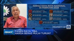 Video: Panen Raya Dimulai Maret, Yakin Harga Beras Bakal Turun?