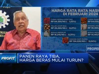 Video: Panen Raya Dimulai Maret, Yakin Harga Beras Bakal Turun?