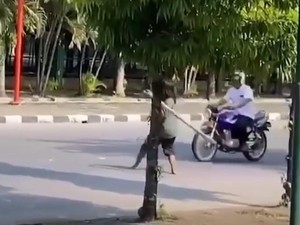 Pukul Pengguna Jalan dengan Bambu, ODGJ Ngamuk di Bojonegoro Diamankan