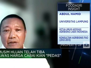 Video:Produksi Terganggu, Kenaikan Harga Cabai Sudah Diprediksi Petani