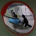 Alasan Warga Negara Indonesia Pilih Berobat ke Malaysia dan Singapura