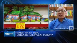 Video: Tak Dapat Beras Bulog, Pedagang Pasar Sulit Jual Beras Murah