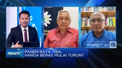 Video: Ini yang Bikin Harga & Stok Beras Jadi Masalah Tiap Tahun