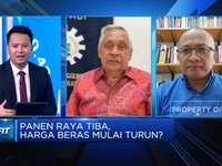 Video: Ini yang Bikin Harga & Stok Beras Jadi Masalah Tiap Tahun