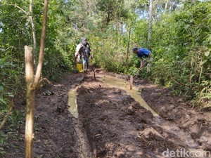 Begini Kondisi Lahan Tahura Djuanda yang Rusak Digilas Motor Trail