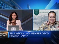 Video: Selangkah Lagi Jadi Anggota OECD, RI Dapat Manfaat Apa?