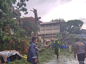Pohon Tumbang di Kampus Sanata Dharma Sleman Timpa Lapak Pedagang