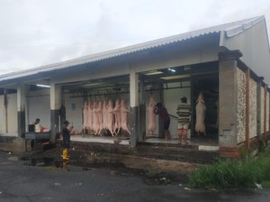 Permintaan Pemotongan Babi di RPH Denpasar Meningkat Jelang Galungan