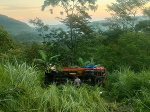 Truk Bawa Grup Kesenian Masuk Jurang di Pasuruan, 2 Orang Tewas