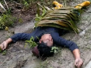 Mujianto Tewas Tersambar Petir Saat Panen Sawit di Muba